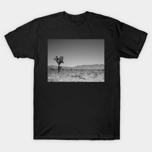 Joshua Tree Landscape Photo V4 T-Shirt